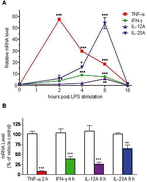 Apremilast, a cAMP phosphodiesterase-4 inhibitor, demonstrates anti ...