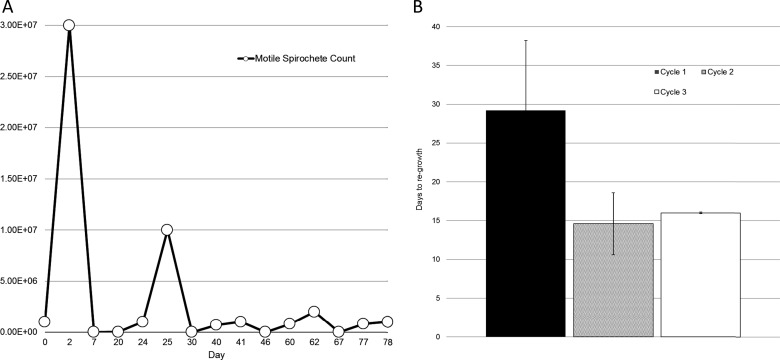 FIG 3