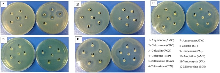 FIGURE 1