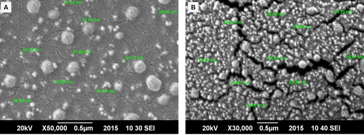 FIGURE 3