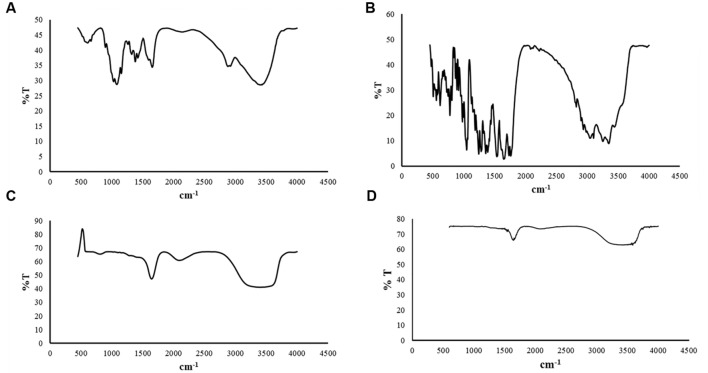 FIGURE 4