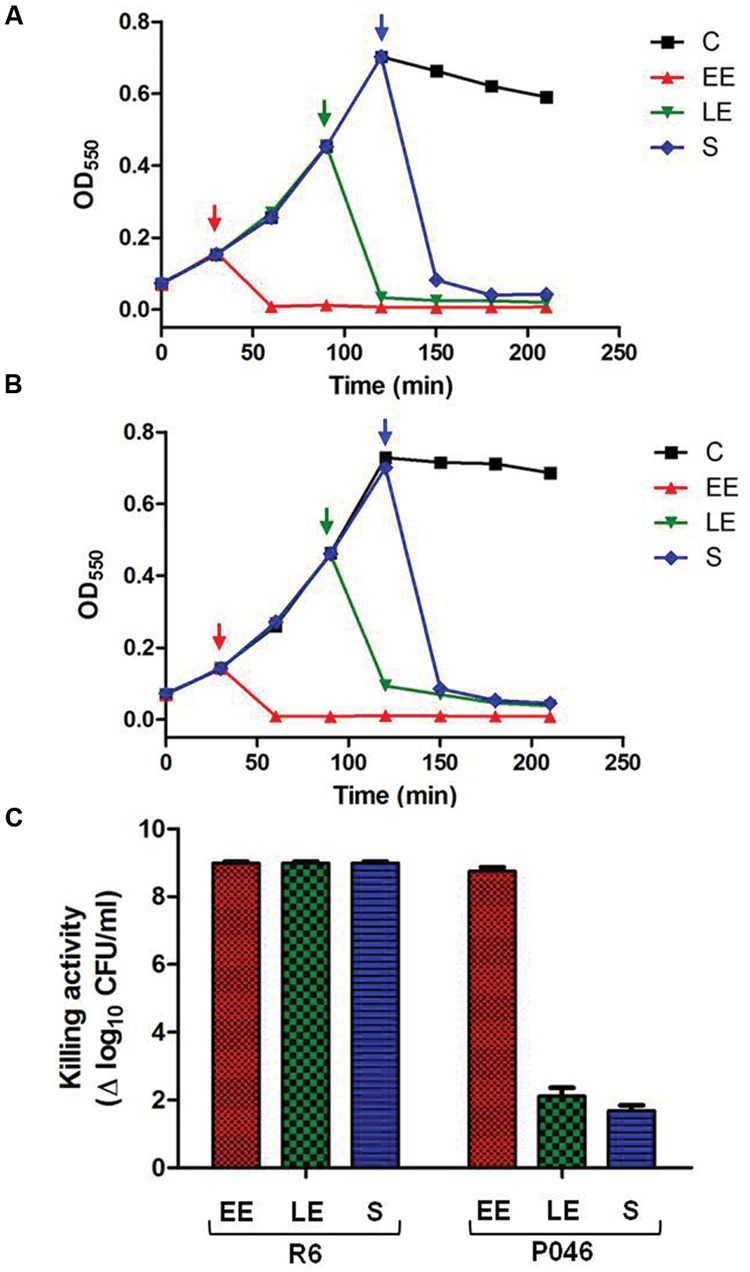 FIGURE 7