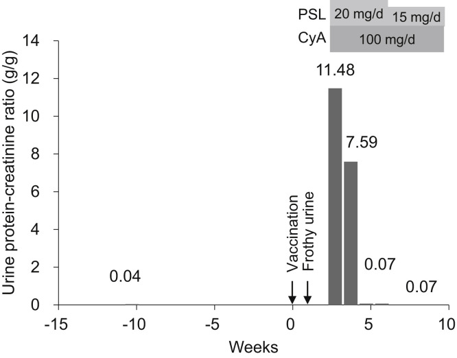 Figure 1