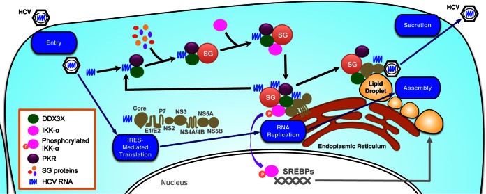 FIG 10