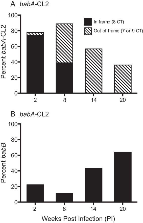 FIG 6