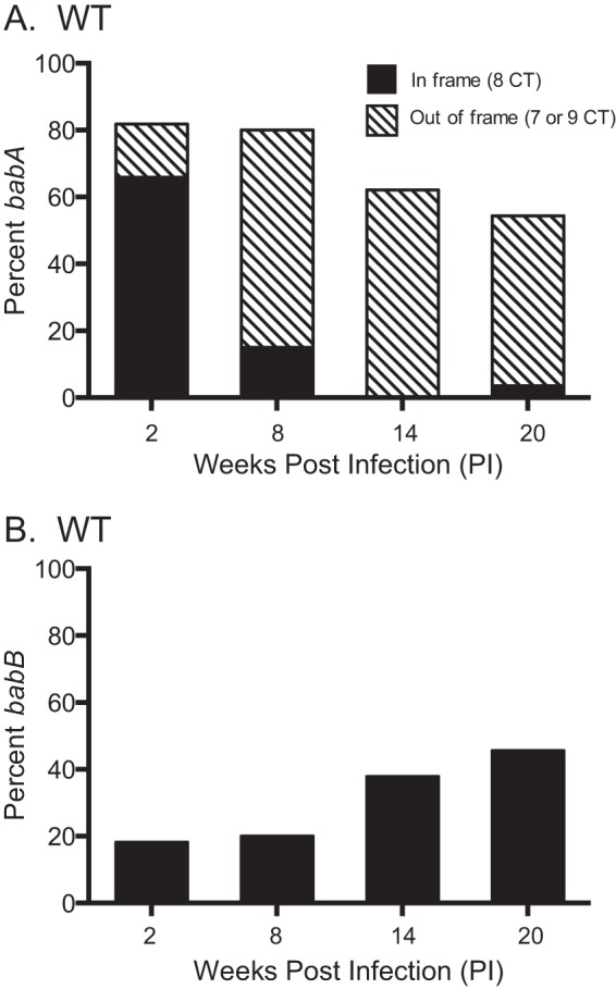 FIG 3