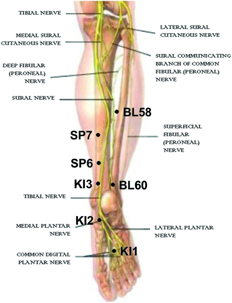 FIG. 5.