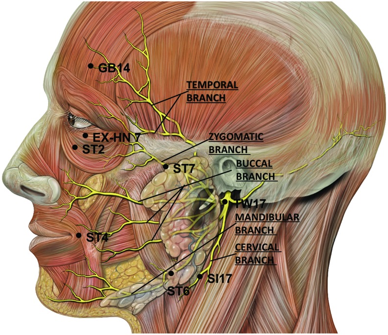 FIG. 2.