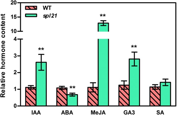 Fig. 9