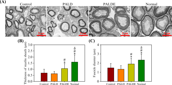 FIG. 8.