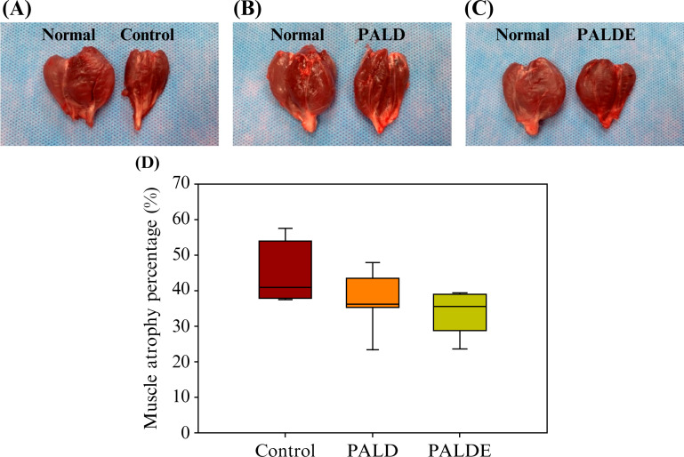 FIG. 7.