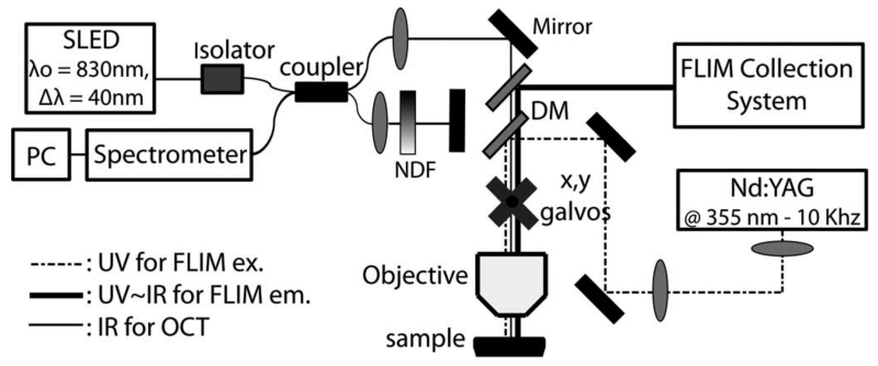 Fig. 1