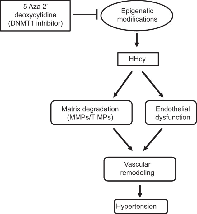 Figure 11.