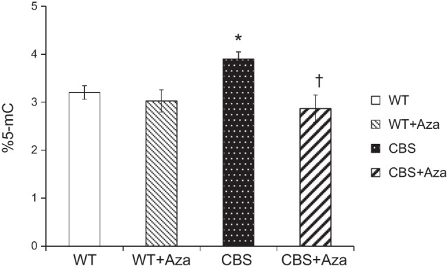 Figure 10.