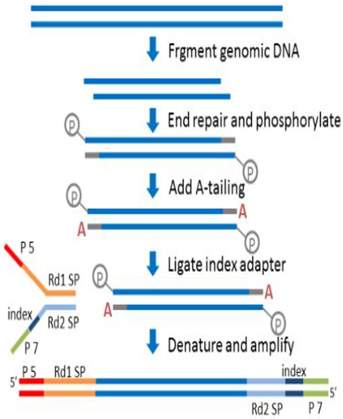 Fig 2