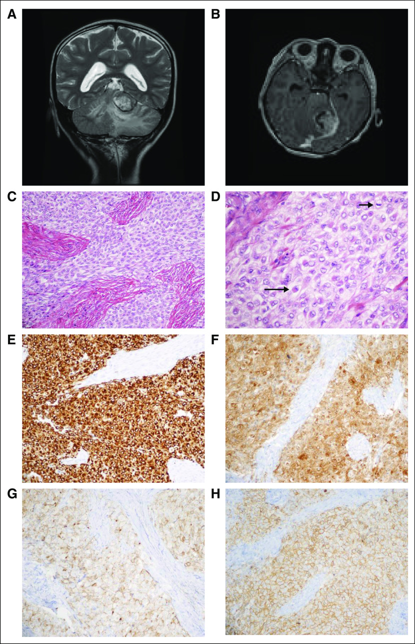 Fig 1.