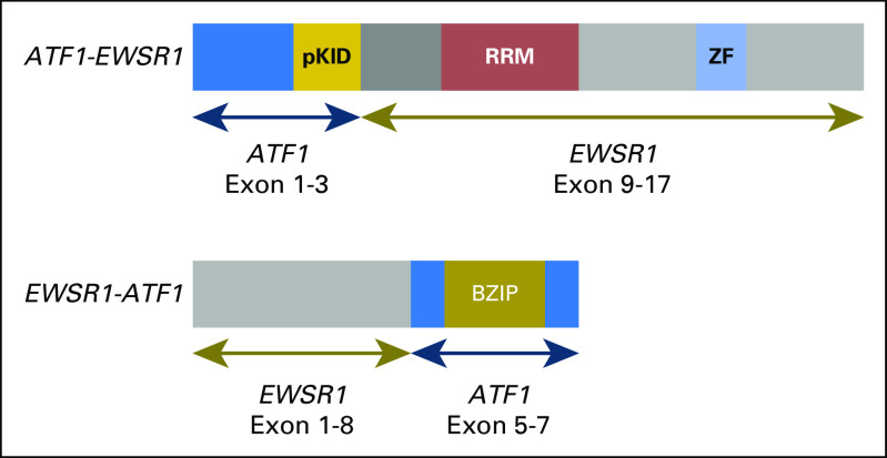 Fig A1.