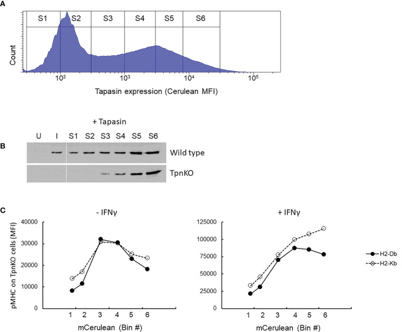 Figure 3