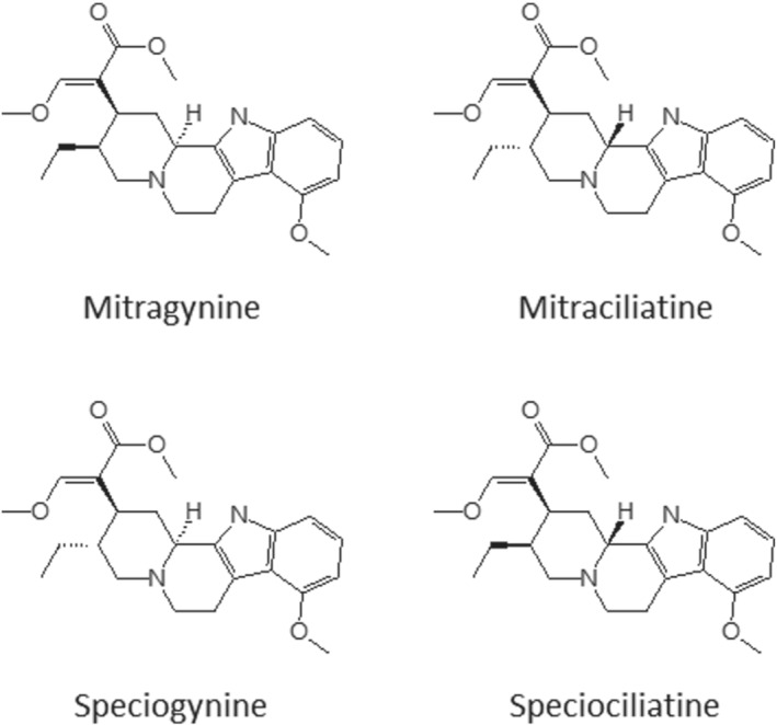 FIGURE 1