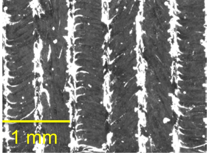 Fig. 20