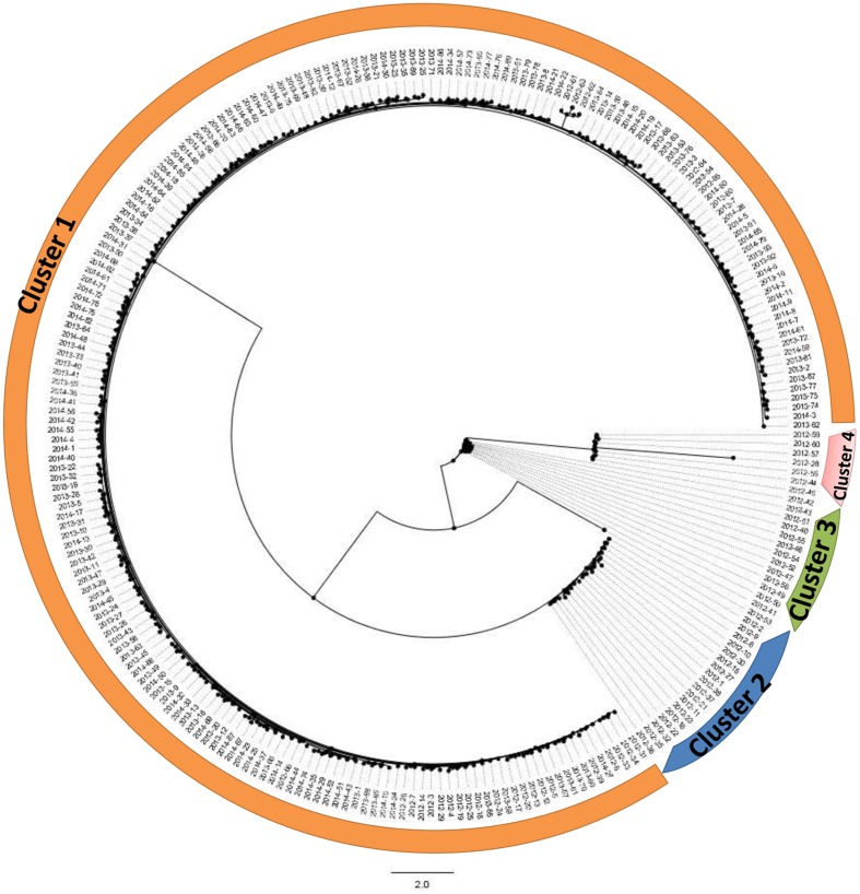 FIGURE 5