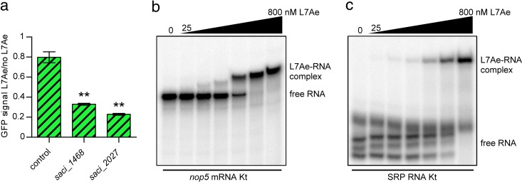 FIG 6 