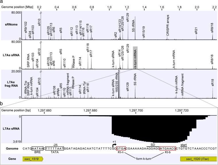 FIG 1 