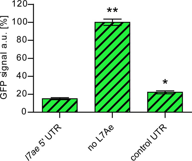 FIG 3 