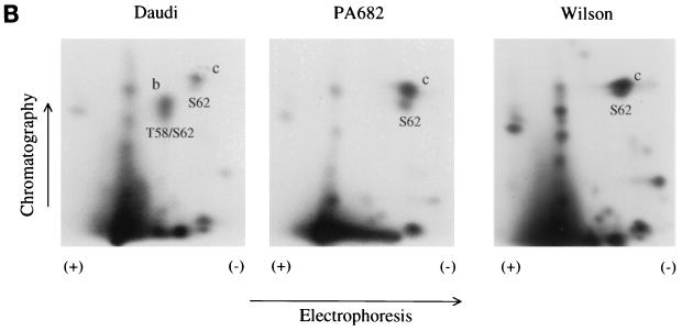 FIG. 6