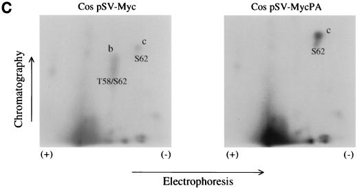 FIG. 6