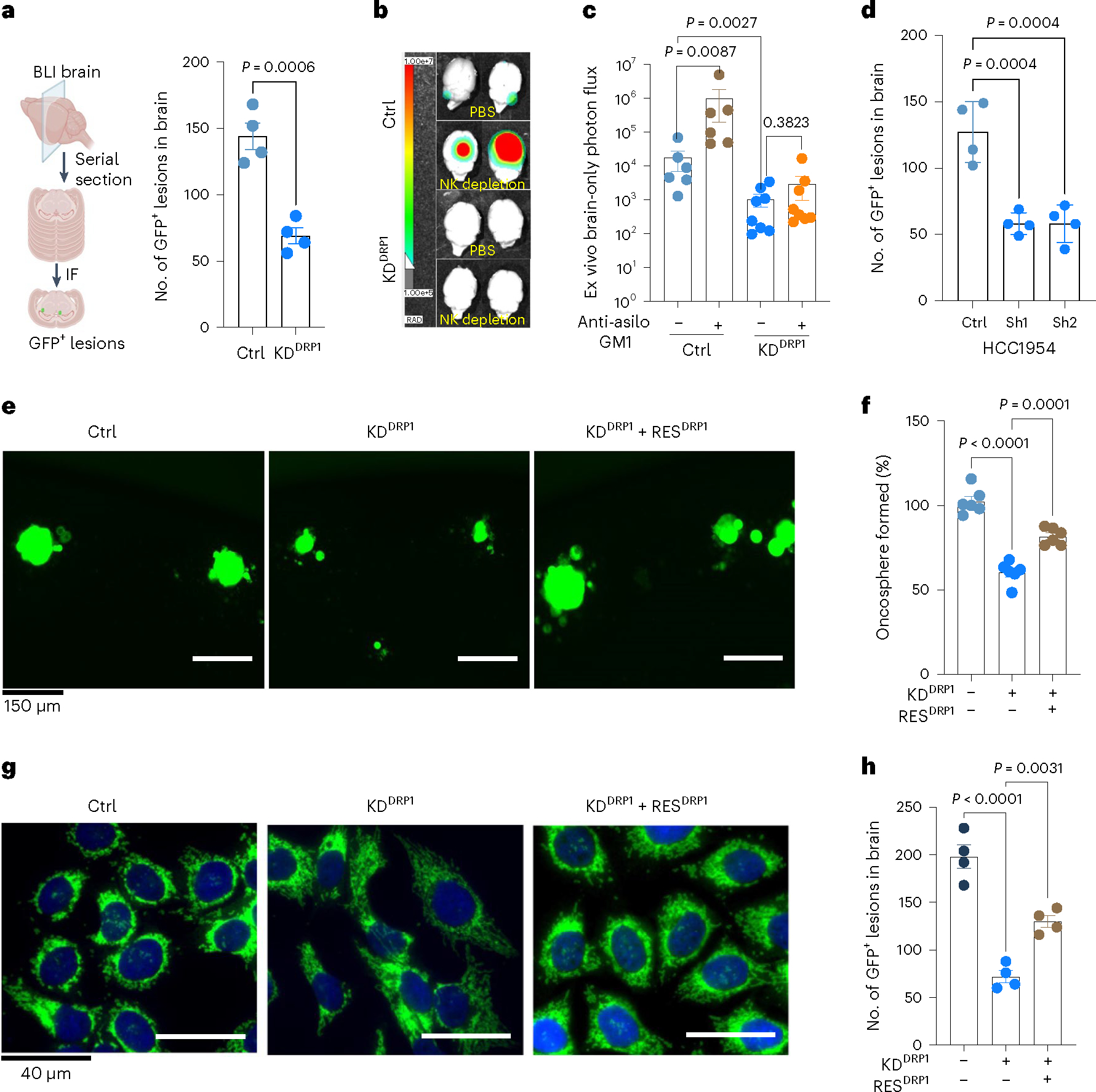 Fig. 4 |