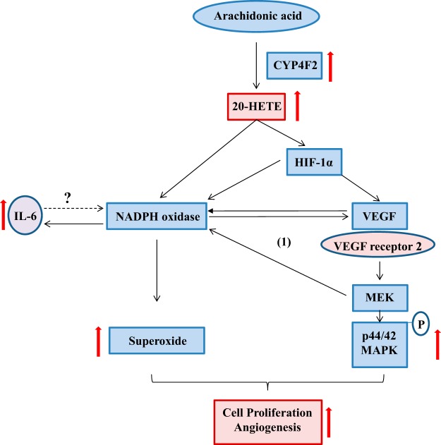 Figure 10.