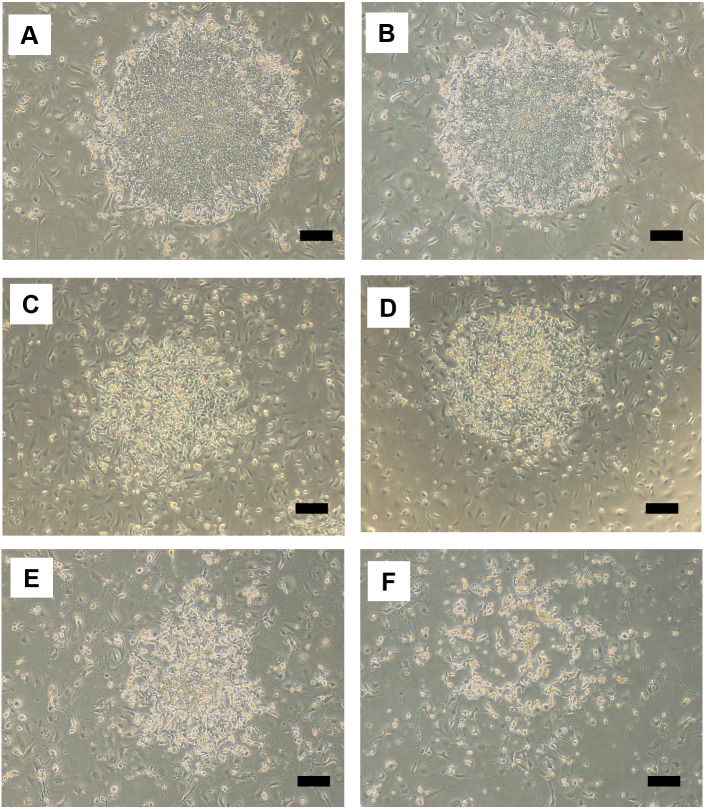 Fig. 6.