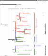 Fig. 2.