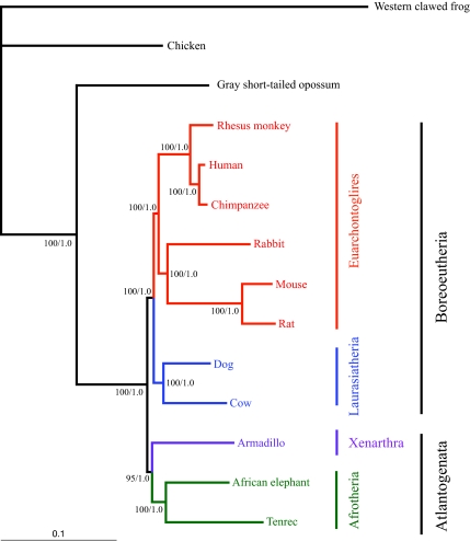 Fig. 2.