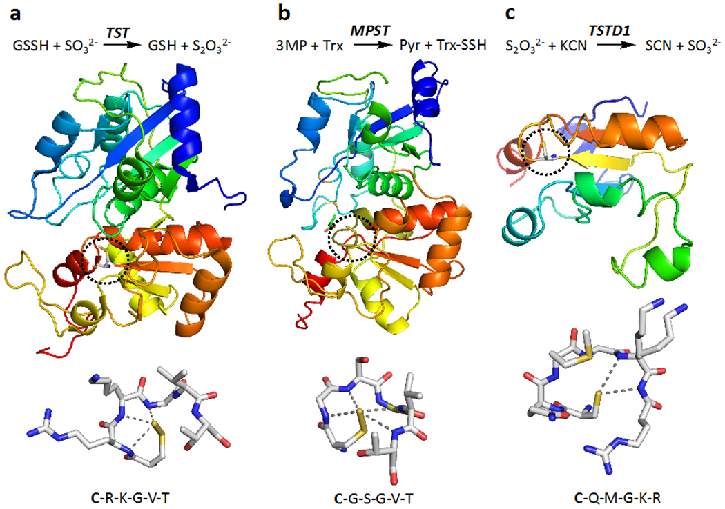 Figure 5.