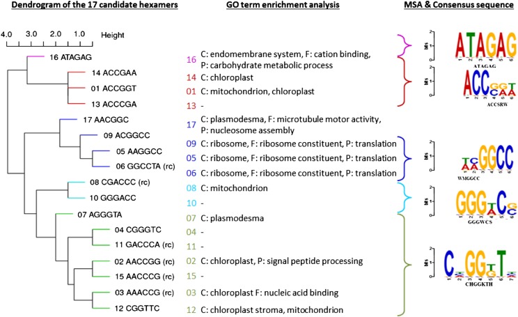 Figure 7.