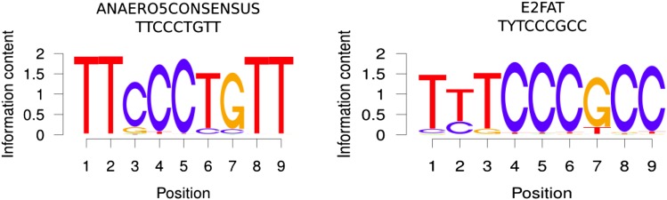 Figure 5.