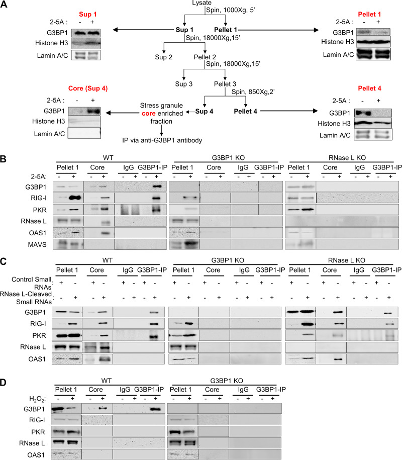 FIG 3