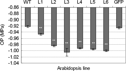 Fig. 6.