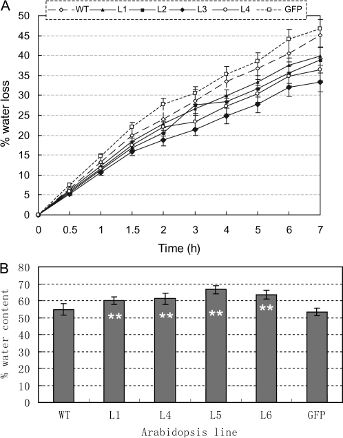 Fig. 7.