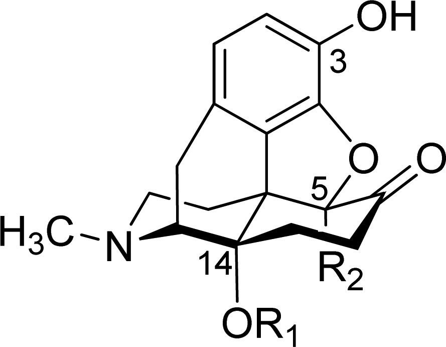 graphic file with name cn-2016-00460g_0007.jpg