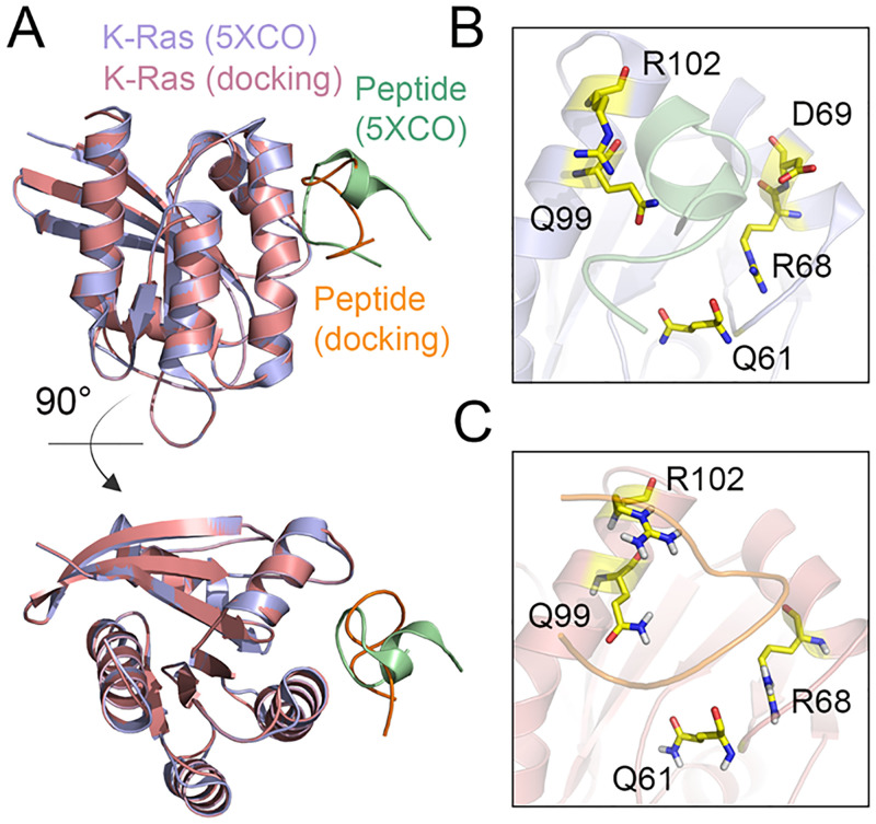 Fig 3