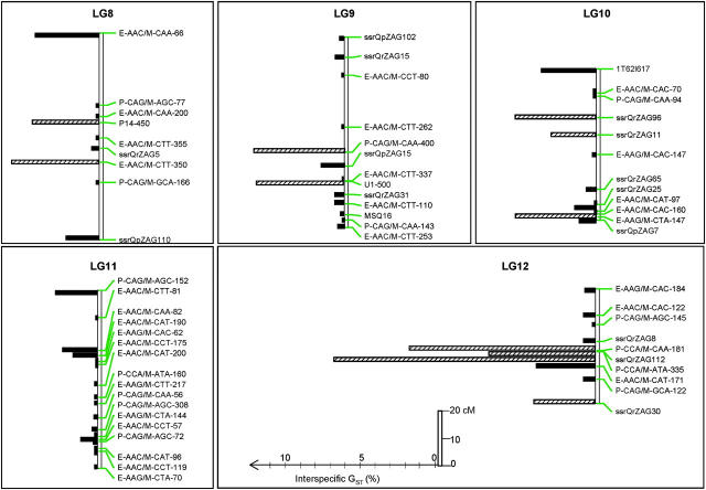 Figure 4.—