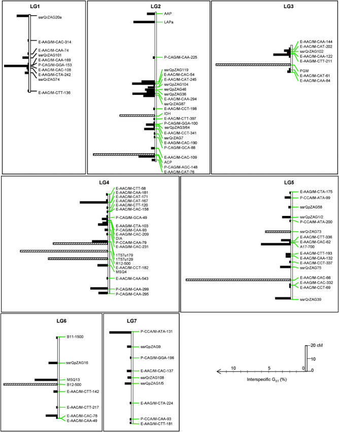 Figure 4.—