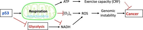 FIG. 6.