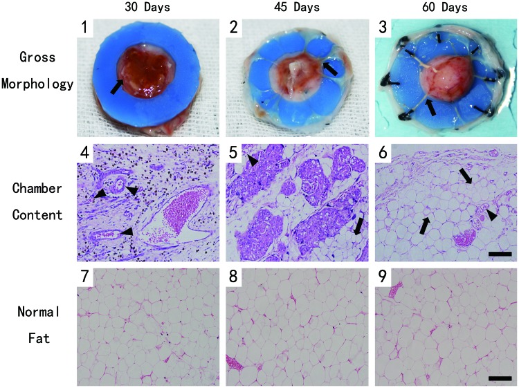 FIG. 3.