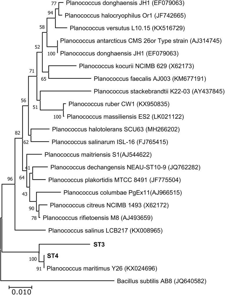 FIGURE 2