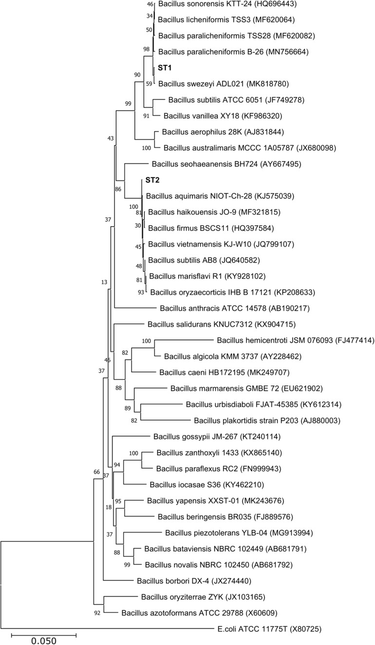 FIGURE 1