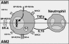 FIGURE 12.